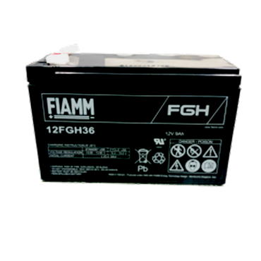 FIAMM12fgh36